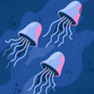 Meet your Posher, Sonia